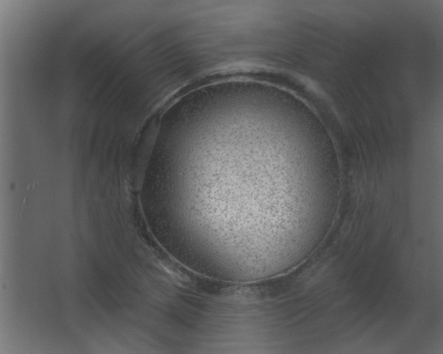 X0000067531217200604211835