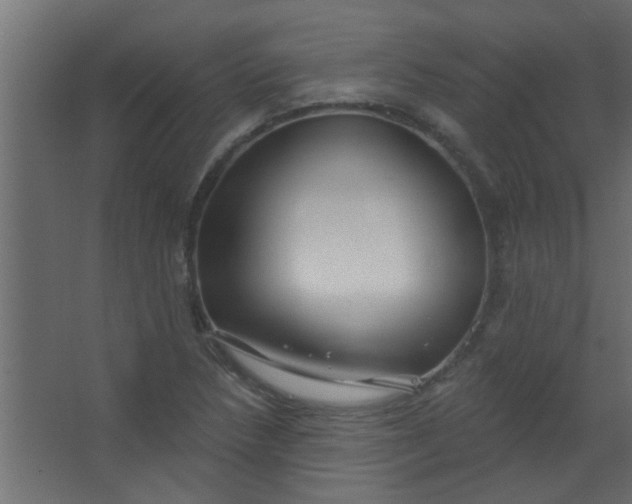 X0000067531218200604211835