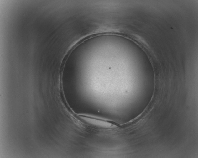 X0000067531220200604211835