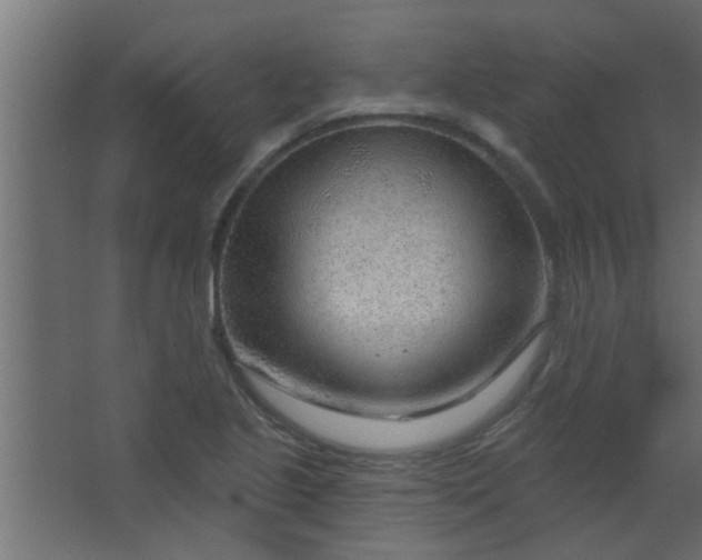 X0000067531221200604211835