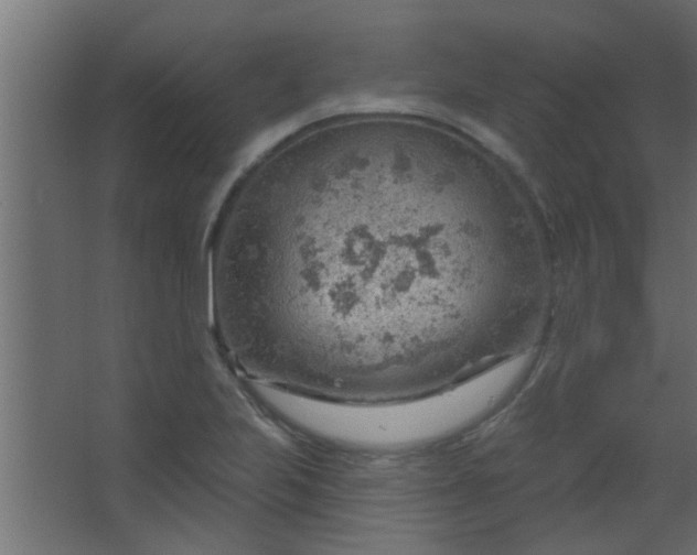 X0000067531223200604211835