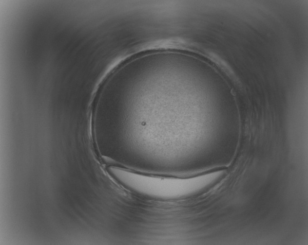 X0000067531224200604211835