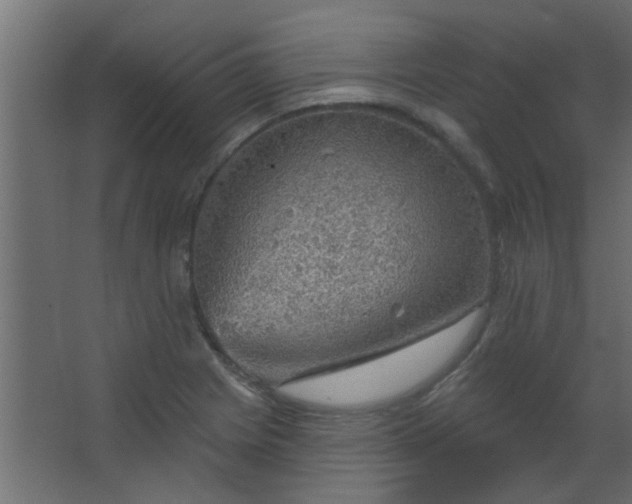 X0000067531225200604211835