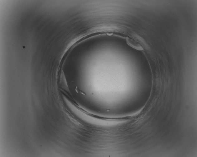 X0000067531226200604211835