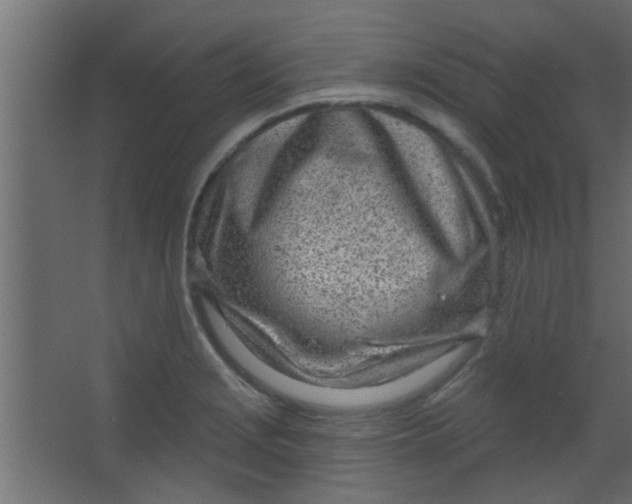 X0000067531229200604211835