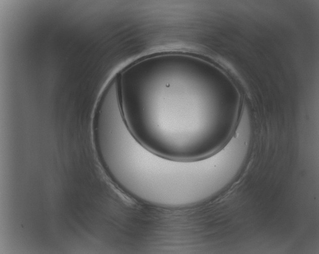 X0000067531230200604211835