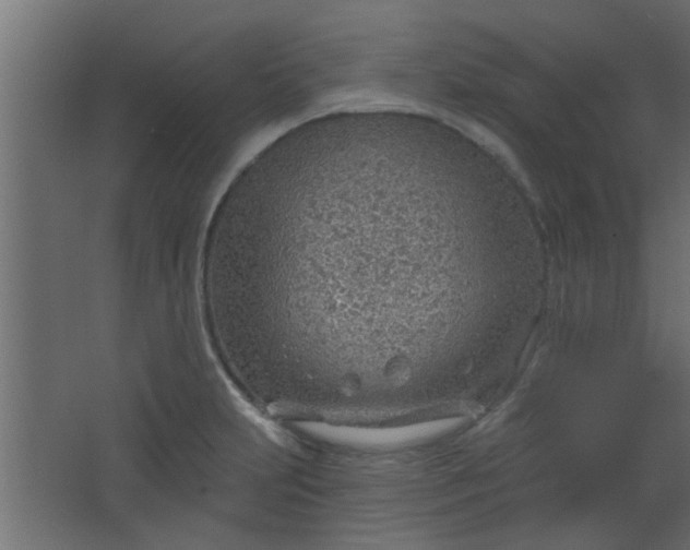 X0000067531231200604211835