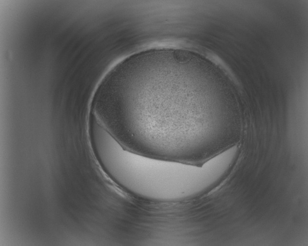 X0000067531232200604211835