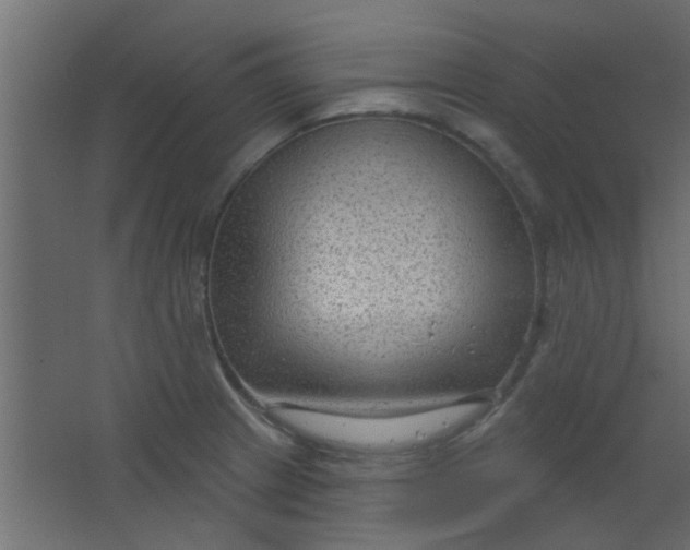 X0000067531233200604211835