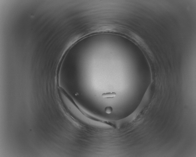 X0000067531234200604211835