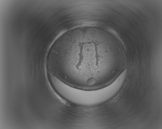 X0000067531235200604211835