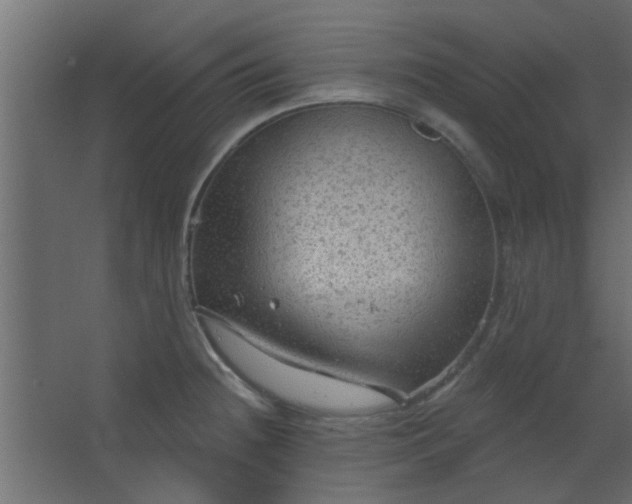 X0000067531236200604211835