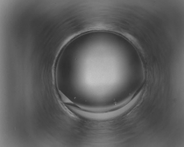 X0000067531238200604211835