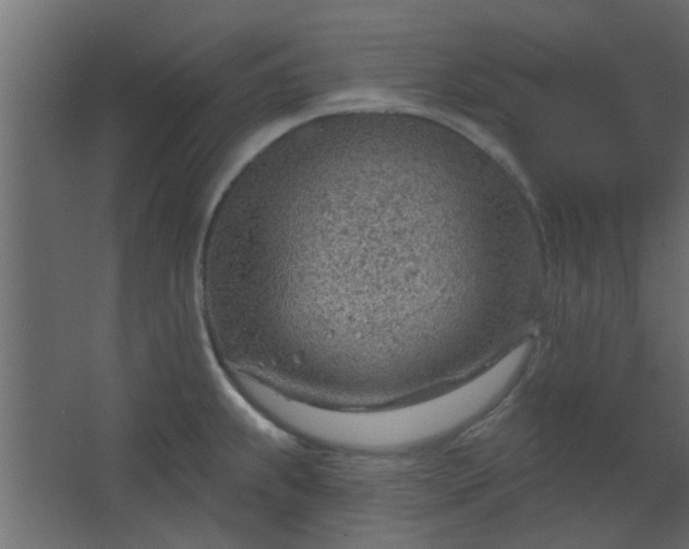 X0000067531239200604211835