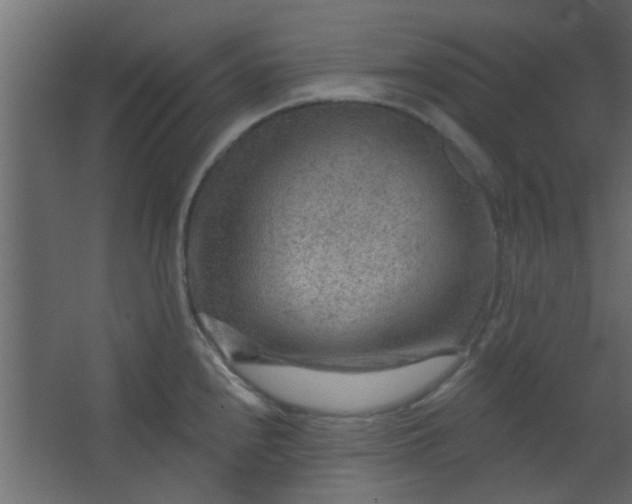 X0000067531240200604211835