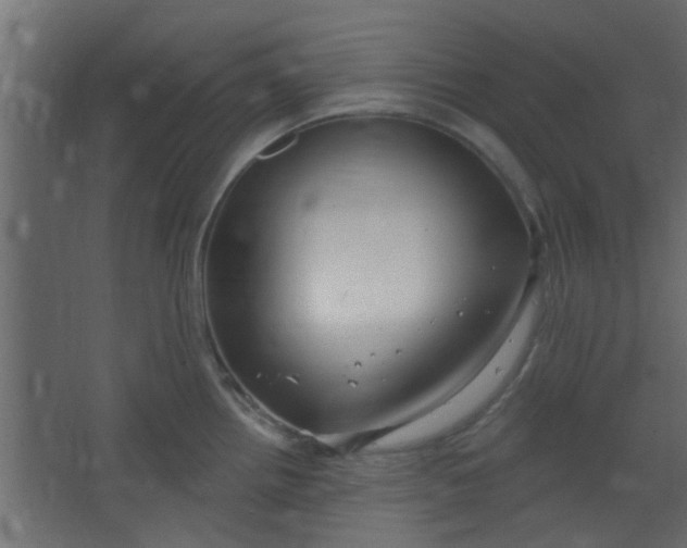 X0000067531242200604211835