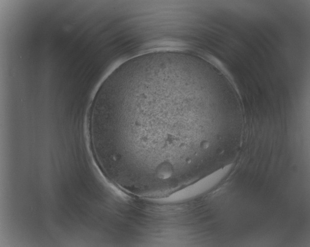 X0000067531243200604211835