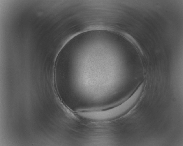 X0000067531244200604211835