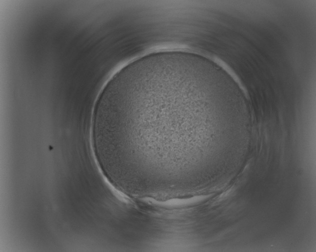 X0000067531245200604211835