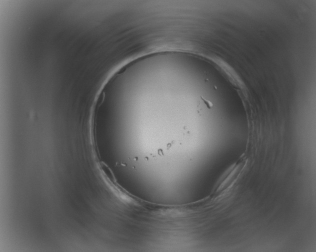 X0000067531246200604211835