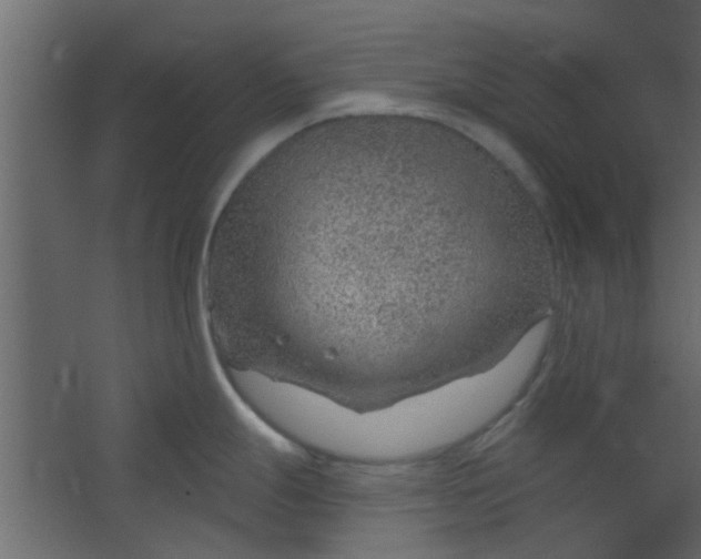 X0000067531247200604211835