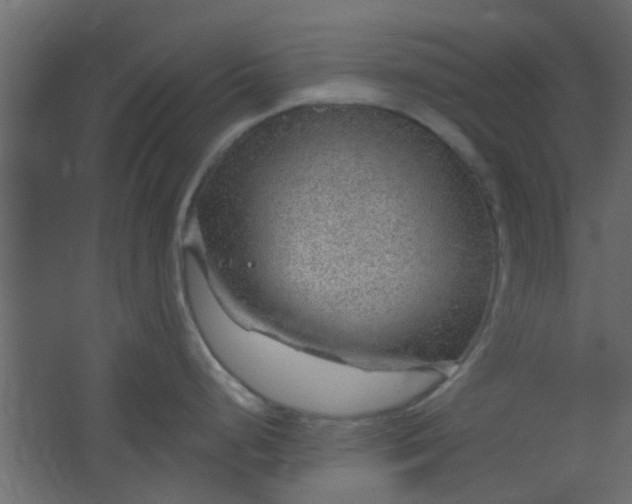 X0000067531248200604211835