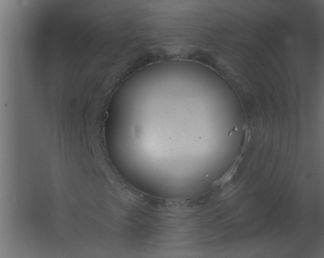 X0000067531249200604211834