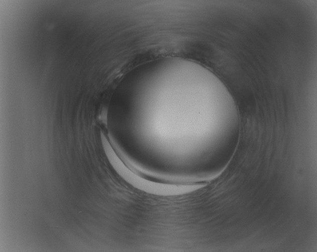 X0000067531250200604211834