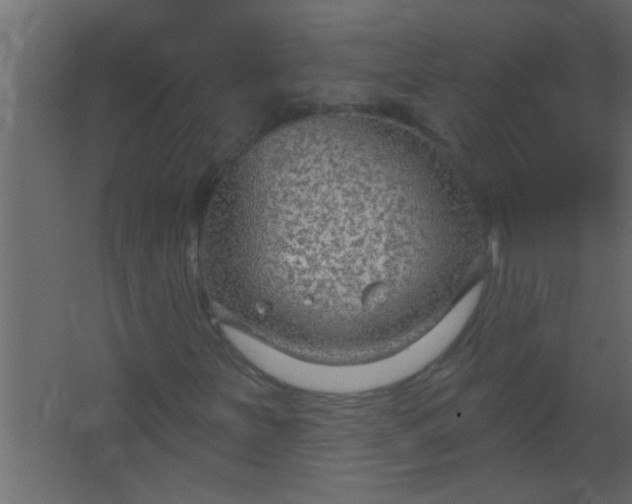 X0000067531251200604211834