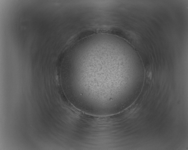 X0000067531252200604211834