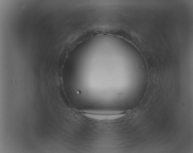 X0000067531253200604211834