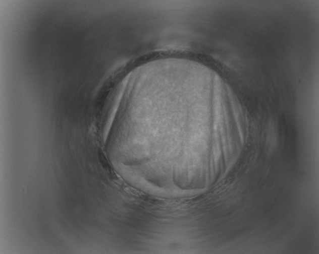 X0000067531254200604211834