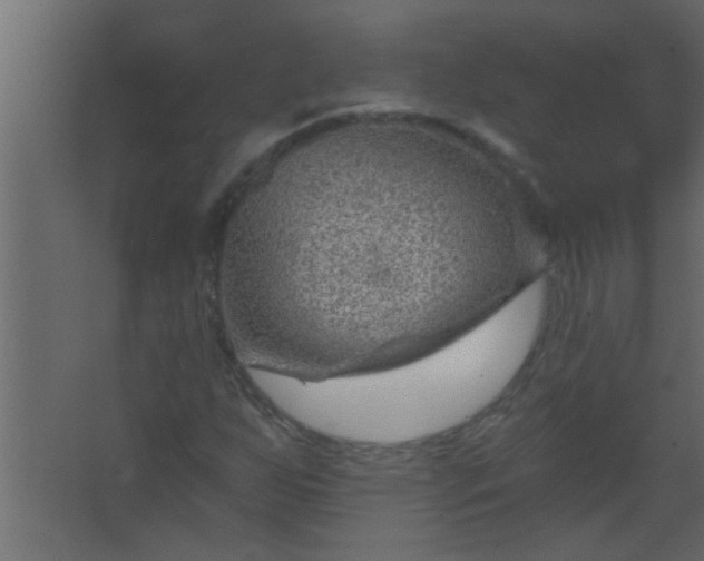 X0000067531255200604211834