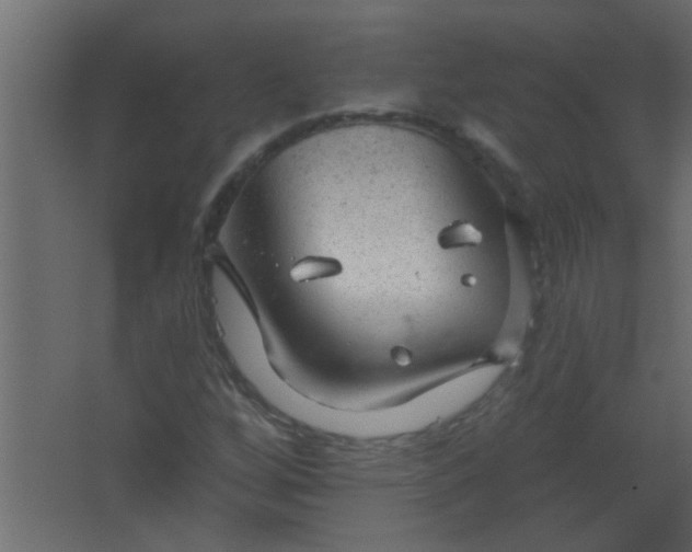 X0000067531256200604211834