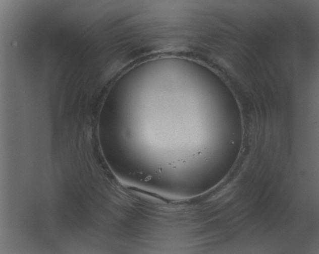 X0000067531257200604211834