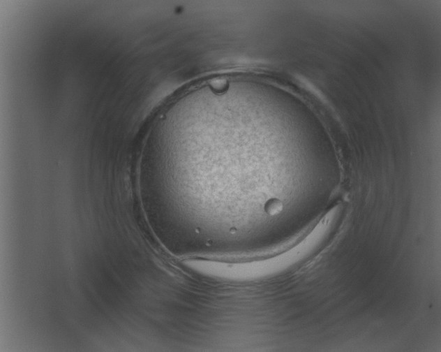 X0000067531259200604211834