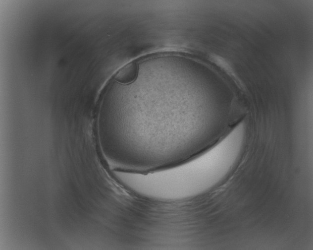 X0000067531260200604211834