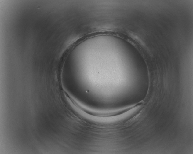 X0000067531261200604211834