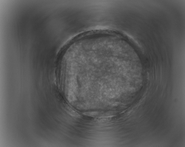 X0000067531262200604211834