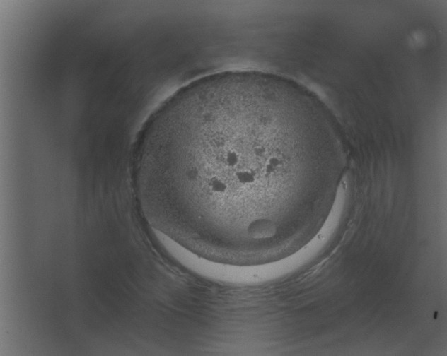 X0000067531263200604211834