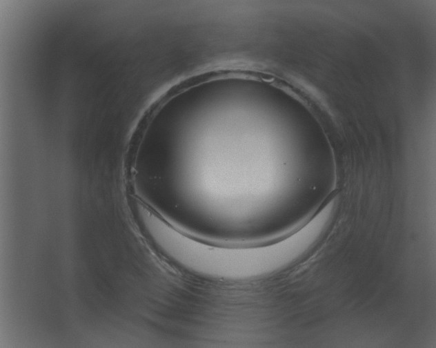 X0000067531264200604211834