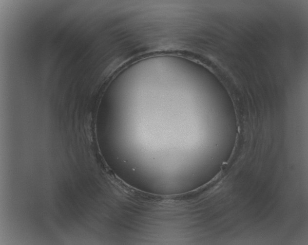 X0000067531265200604211834