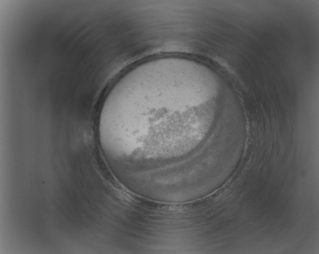 X0000067531266200604211834