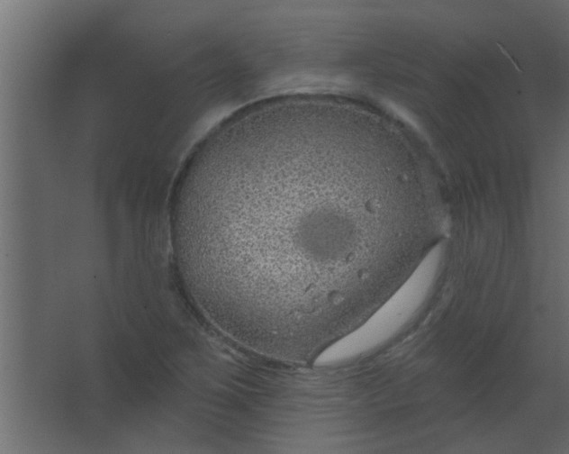 X0000067531267200604211834