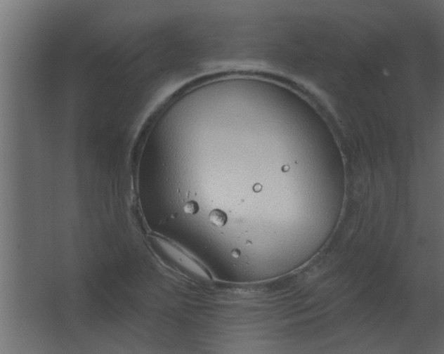 X0000067531271200604211834