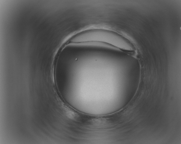 X0000067531272200604211834