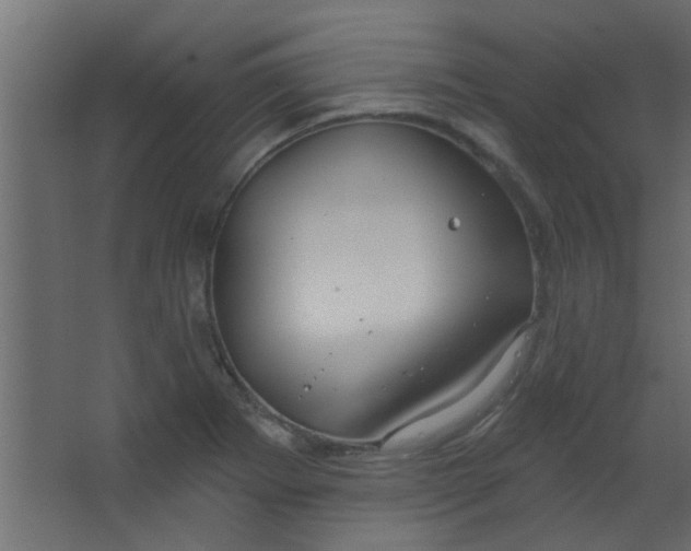 X0000067531273200604211834