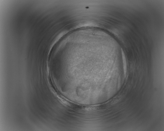 X0000067531274200604211834