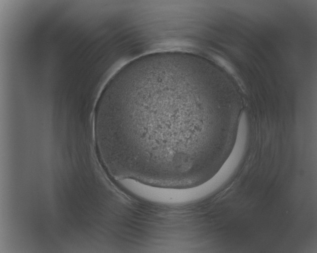 X0000067531275200604211834