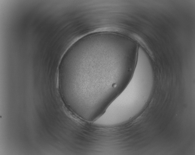 X0000067531276200604211834